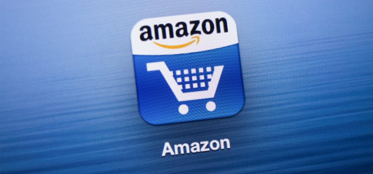 Selvstændige frygter Amazon, men ser også muligheder