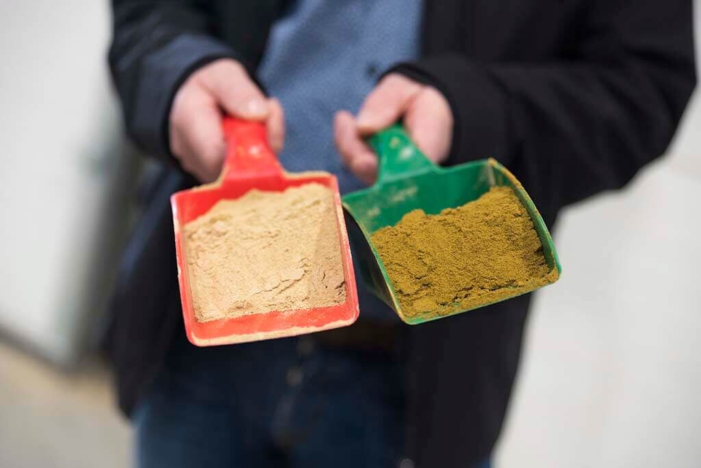 Søstjernefabrikken, Søstjerner, Skive Kommune, Bizz Up Forår 2019