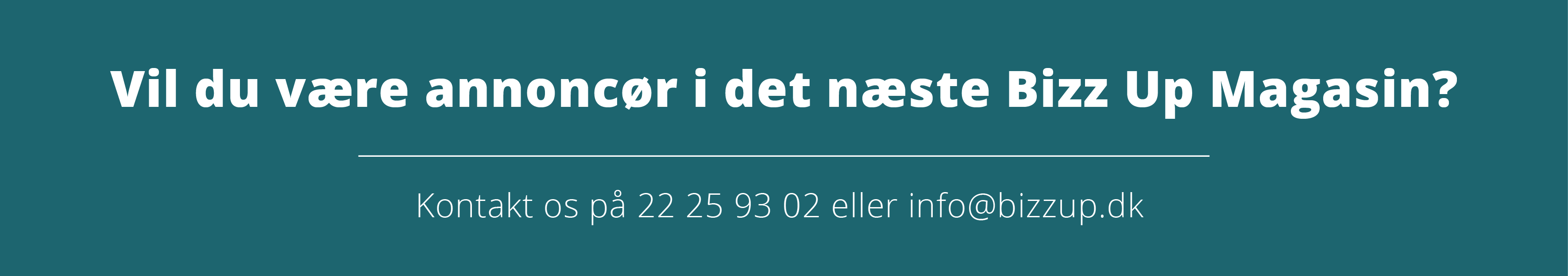 Bizz Up, Annoncering i Bizz Up Magasinet