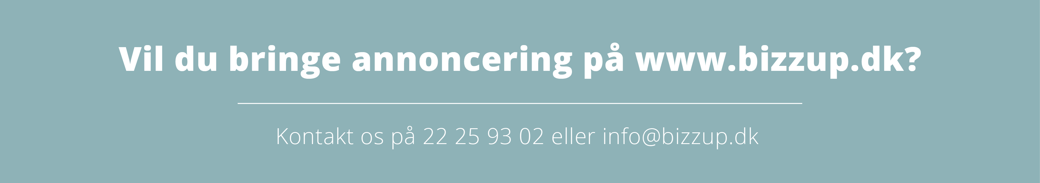 Annoncering på bizzup.dk, Annoncering bizzupdk, Bizz Up