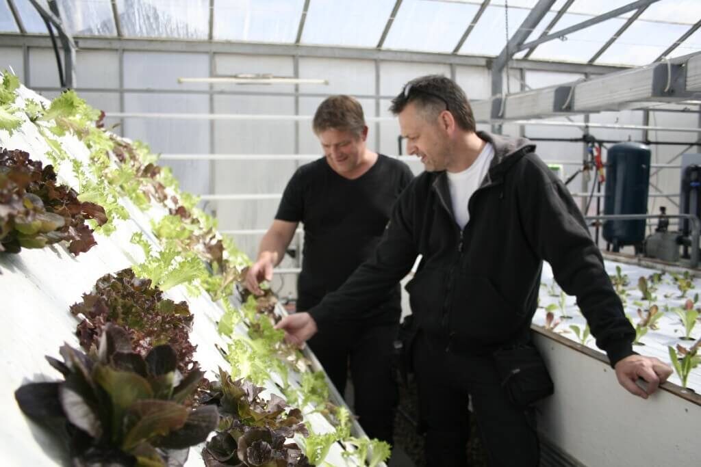 Wellfarmed, Bizz Up, bizzupdk, Bæredygtighed