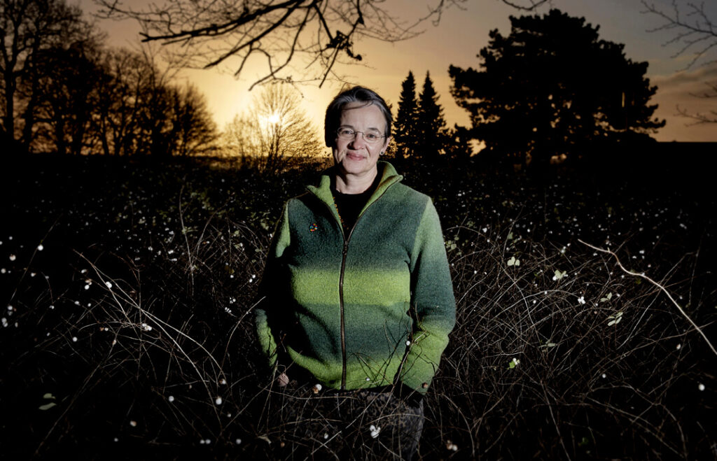 Iværskættere, Erhvervshus Midtjylland, Bizz Up forår 2020, Bizzup.dk