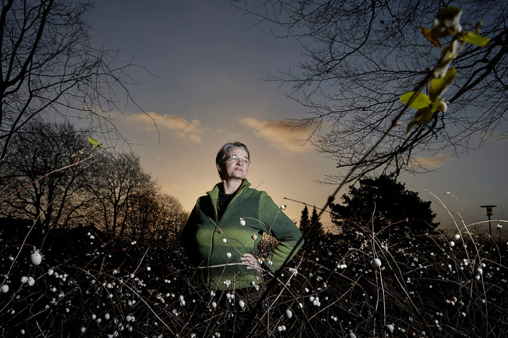 Iværskættere, Erhvervshus Midtjylland, Bizz Up forår 2020, Bizzup.dk