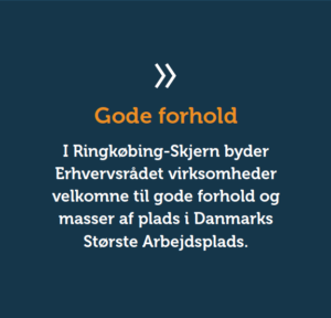 Ringkøbing-Skjern, Erhverv, Konsulenter, Bizz Up Sommer 2020