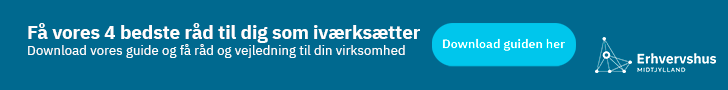 Erhvervhus Midtjylland, 4 gode råd, netværk
