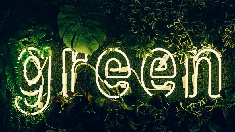 Rasmus Norup, Konservative, Bizz Up Efterår 2020