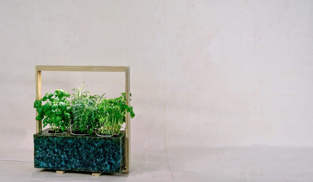 NordicGrow, bæredygtighed, Bizz Up