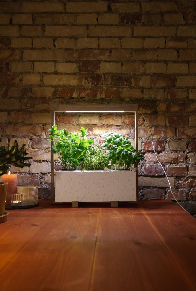 NordicGrow, bæredygtighed, Bizz Up