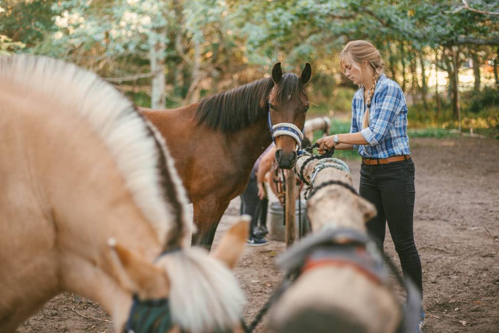 Bornholm, DAT, ridetur, Bizz Up forår 2021, Bizz Up