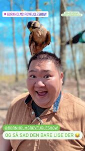 DAT, Bornholm, MIcki Cheng, Bizz Up Forår 2021, Bizz Up