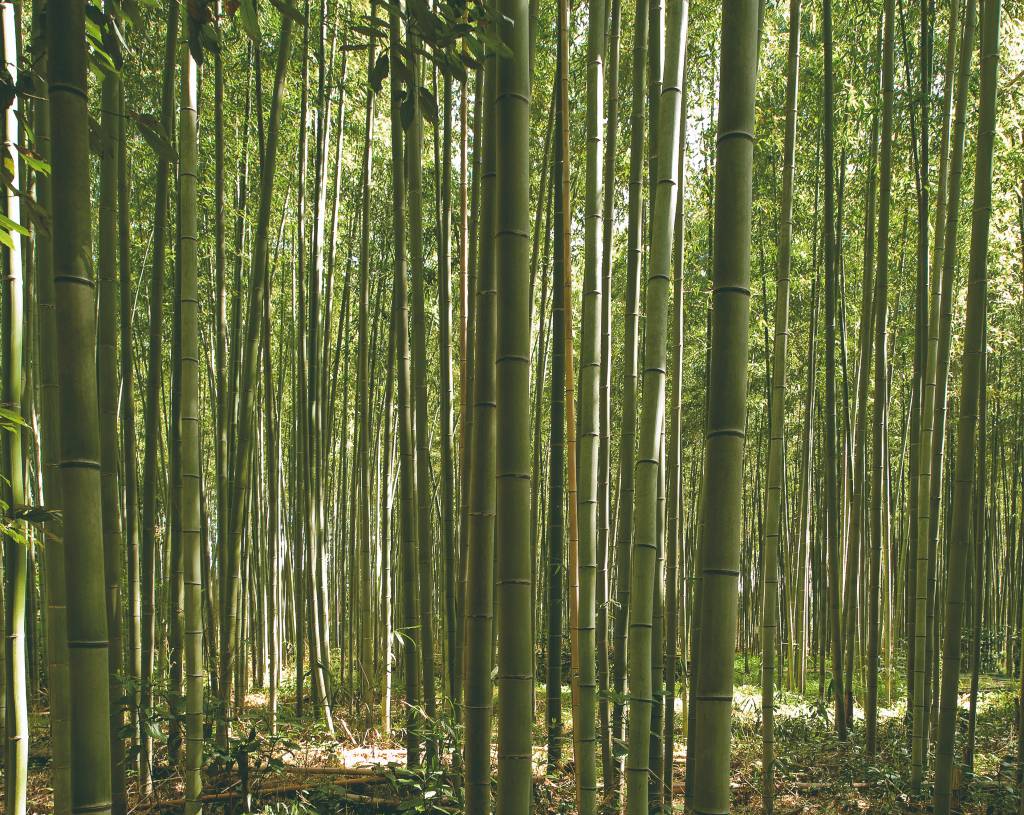 REMADE, Nordisk Group, recycling, bæredygtighed, Bizz Up