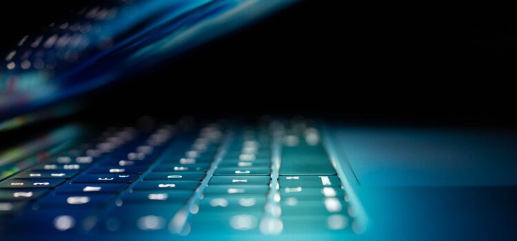 Cyberkriminaliteten trives under pandemien