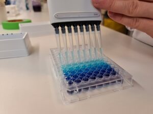 Den danske biotek-virksomhed Cysbio er klar med ny teknologi til fremstilling af svært producerbare biokemikalier med minimal miljøbelastning. Markedsperspektivet og potentialet er enormt. Med 33 millioner EU-støttekroner i ryggen kan den danske biotekvirksomhed Cysbio fremstille både billigere og mere miljørigtige biokemikalier. Virksomhedens patenterede fermenteringsteknologi rummer et enormt potentiale og markedsperspektiv for storproduktion af ellers svært producerbare kemikalier som aminosyrer og ålegræssyre til brug indenfor fødevareindustrien, landbruget og skibsfarten. Ifølge Henrik Meyer, der er CEO i Cysbio, giver EU-støtten virksomheden en gylden mulighed for at høste frugterne af mange års forskning og udvikling. – Teknologien har været under udvikling i 10 år, og vi er nået dertil, hvor de første aminosyrer og sulfaterede produkter relativt snart kommer på markedet. Vi kan nu fremstille mikroorganismer på en måde, som ingen andre kan, og med støtten fra EU kan vi speede processen op og køre den i stor målestok. Det betyder, at vi hurtigere end forventet kan udvikle nye og svært producerbare biokemikalier, hvor mikroorganismer omdanner vedvarende kulstofråvarer såsom sukker til de ønskede slutprodukter, fortæller Henrik Meyer. Aminosyrer kan forebygge sygdomme Cysbio vil bruge 15 millioner af støttekronerne på at gøre fremtidens brug af aminosyrer mere miljørigtig. Målet er en markant omlægning af verdensproduktionen af en række aminosyrer, som i dag bruges i en bred vifte af produkter inden for blandt andet fødevarer, foder, kosmetik, kosttilskud og pharma. – Med vores forskning har vi udviklet en helt ny metode, hvor vi meget billigere end tidligere kan fremstille i første omgang to vigtige aminosyrer, som grundet vores lave omkostninger kan erstatte en lang række produkter og tilmed give basis for helt nye anvendelser, som den hidtidige høje pris har umuliggjort. Dermed kan vi være med til markant at reducere verdens forbrug af kemisk fremstillede aminosyrer, siger Alex Toftgaard Nielsen, der er CSO i Cysbio. Serin er en af disse aminosyrer, som i dag kun bruges i begrænsede mængder. Nyere forskning har vist, at sygdomme så som fedtlever og andre markante livsstilsygdomme effektivt kan forebygges eller behandles gennem et dagligt indtag af serin som kosttilskud. På verdensplan vurderes det at op mod 20 procent af verdens befolkning har eller er i risiko for at udvikle fedtlever. – Den lavere produktionspris vil muliggøre en bred tilgængelighed af sådanne serin-tilskud, samtidig med at produktionen baseres på en bæredygtig produktionsmetode, siger Alex Toftgaard Nielsen. Grønnere skibsfart i udsigt Den resterende del af støtten vil Cysbio bruge til at gøre en lang række byggematerialer og malingstyper mere miljørigtige. Med fermenteringsteknologien kan virksomheden fremstille både billigere og mere bæredygtig ålegræssyre, som kan reducere mængden af biofilm i mange forskellige produkter uden at det skader miljøet. – Når vi fremstiller ålegræssyre, kan vi eksempelvis skåne havmiljøet massivt. For at reducere mængden af biofilm på skibe males der i dag med kemisk og kobberholdig maling. Det gør man for at fjerne biofilm, der får skibene til at sejle langsommere, men metoden er både dyr og meget skadelig for miljøet. Med ålegræssyre kan vi udskifte de skadelige komponenter med mere miljørigtig kemi, siger Alex Toftgaard Nielsen. Ifølge Cysbio bruges der globalt set over en milliard liter maling til skibe årligt, mens de vurderer markedsværdien til at være på omkring 2,5 milliarder USD med en årlig vækst på fem procent. Desuden er der et meget stort behov for miljørigtige alternative ingredienser med antifouling egenskaber, så potentialet for en miljømæssig og økonomisk gevinst er meget stort, lyder vurderingen fra Alex Toftgaard Nielsen. Cysbio anvender avanceret teknologi til at skabe billige og bæredygtige biokemikalier ved at modificere mikroorganismer og gøre dem i stand til at omdanne simple sukkerater til biokemiske produkter. Cysbio er et spin out fra Novo Nordisk Foundation Center for Biosustainability ved DTU (Danmarks Tekniske Universitet). Se mere på www.cysbio.dk