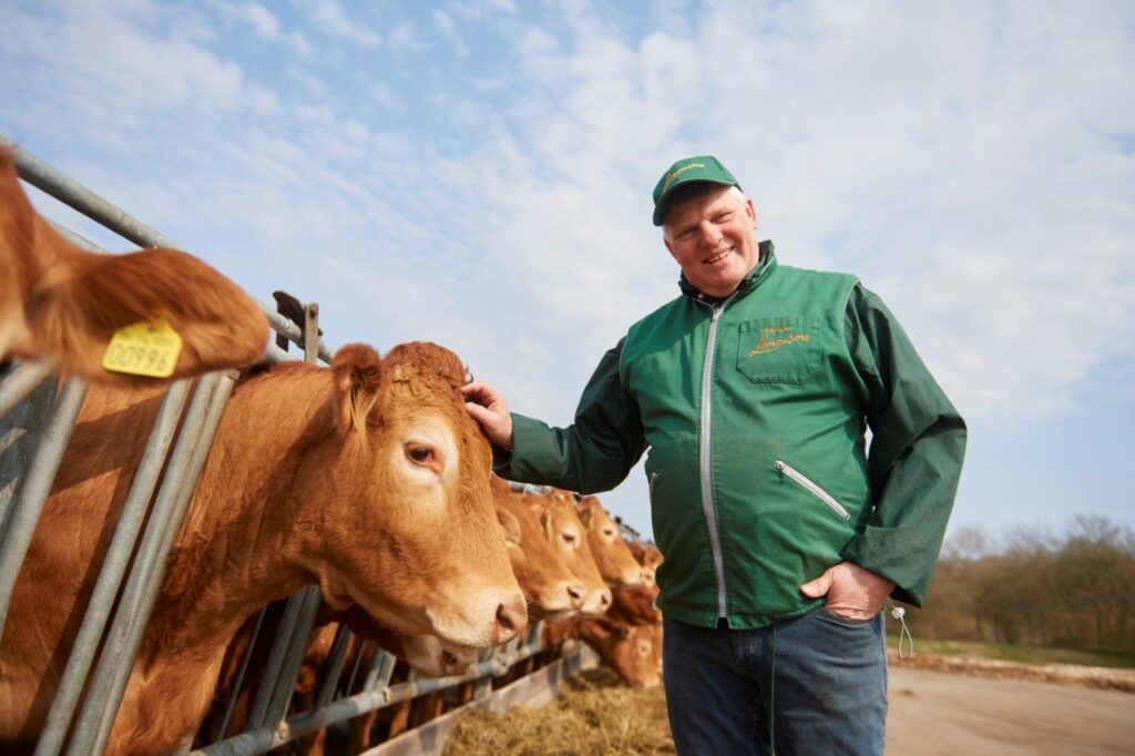 Limousinekød, Bizz Up