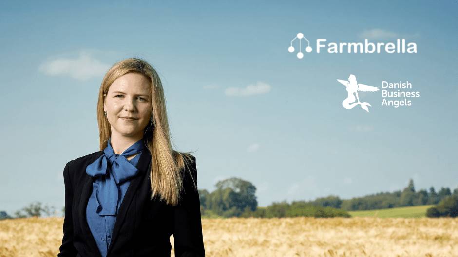 Farmbrella, danBAN, Bizz Up