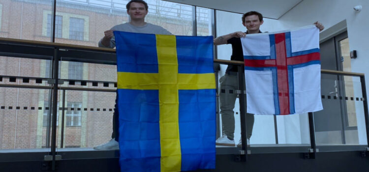 Iværksætter tvillingerne udvider med møbel webshop til Sverige.