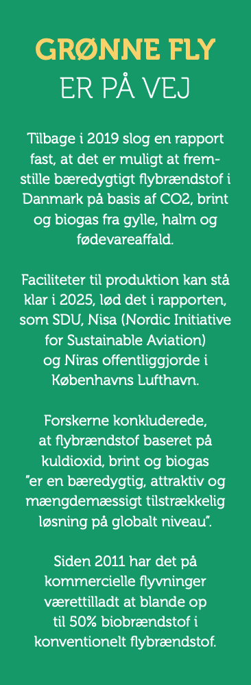 Midtjyllands Lufthavn, Bizz Up