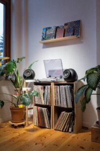 MAPU speakers, Soundhub, Bizz IP
