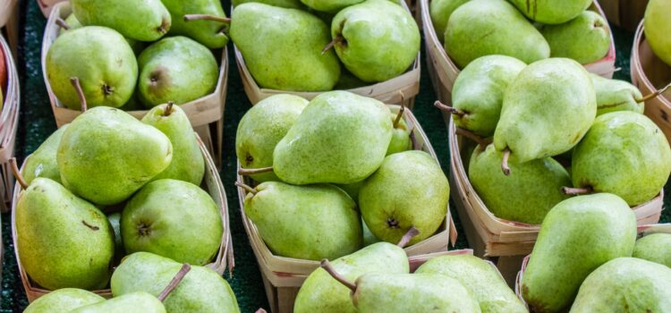 Frisk frugt leveret til din virksomhed